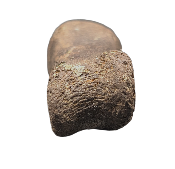 Dakotaraptor/Acheroraptor Toe