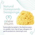 Anewmum – Natural Honeycomb Sea Sponge
