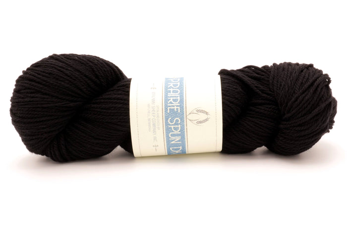 Blackbird DK008
