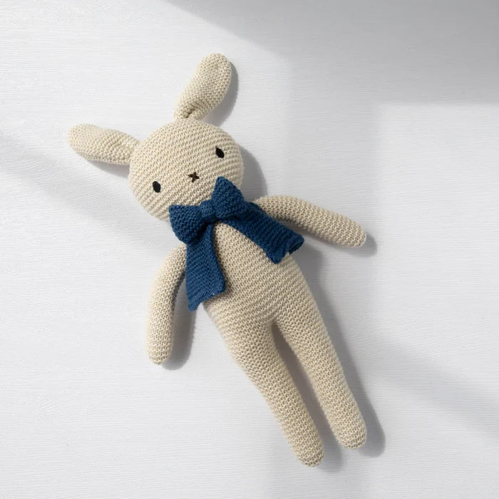 Bunny Suit Up