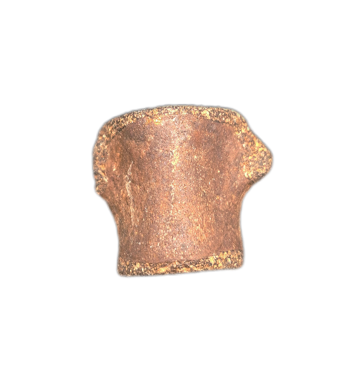Champsosaurus Vertebrae, Judith River