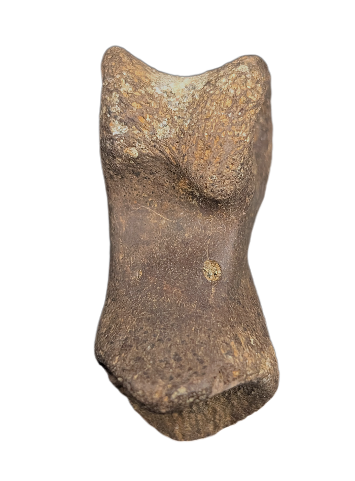 Dakotaraptor/Acheroraptor Toe