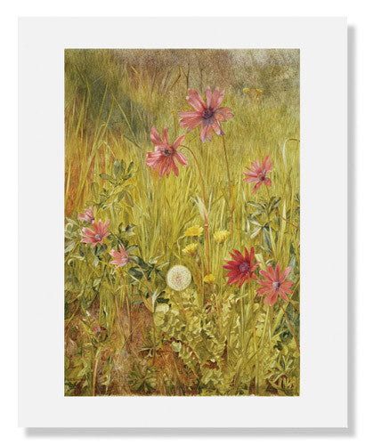 MFA Prints archival replica print of Henry Roderick Newman, Wildflowers from the Museum of Fine Arts, Boston collection.