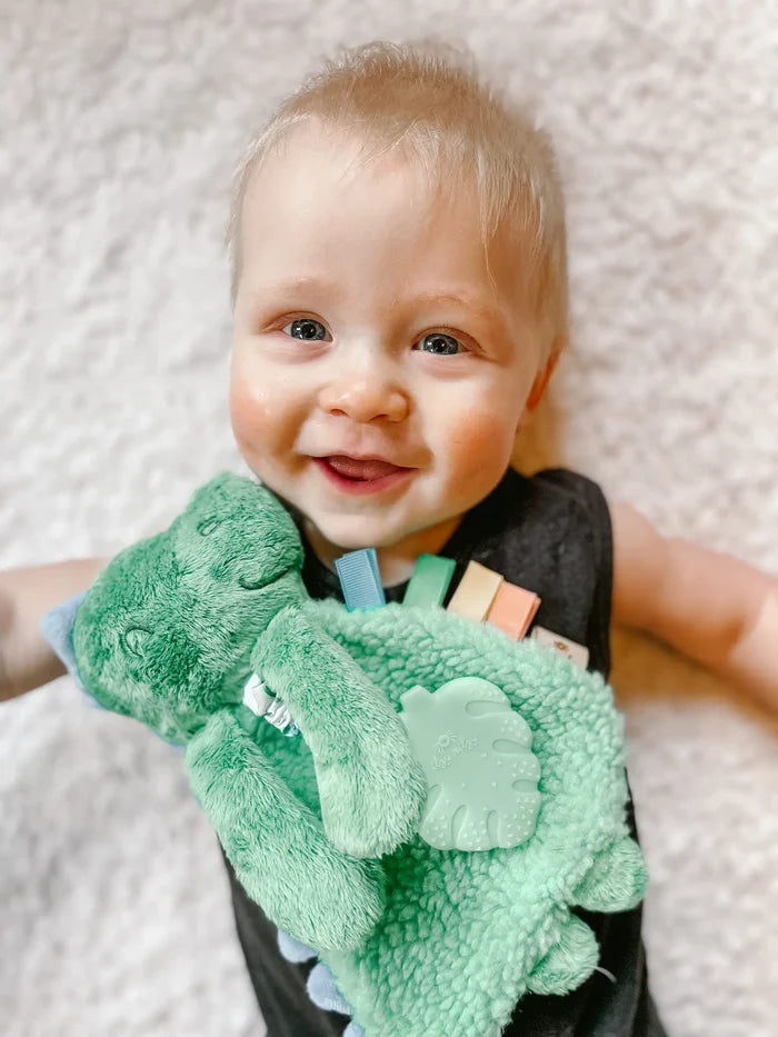 Itzy Ritzy Itzy Lovey Plush with Teether - Green Dino