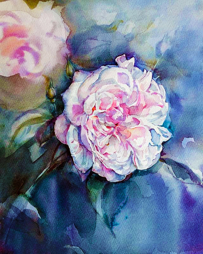 Rose Fantin Latour By Tatiana Mints