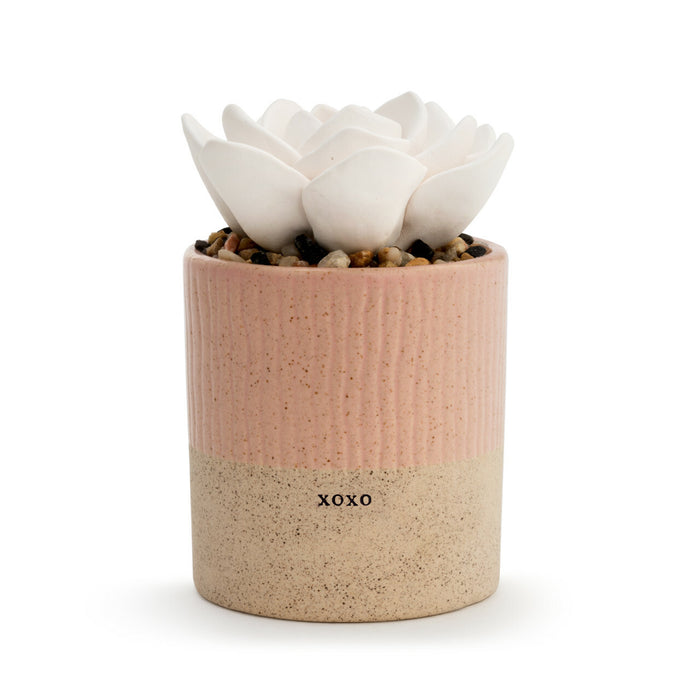 Succulent Oil Diffuser