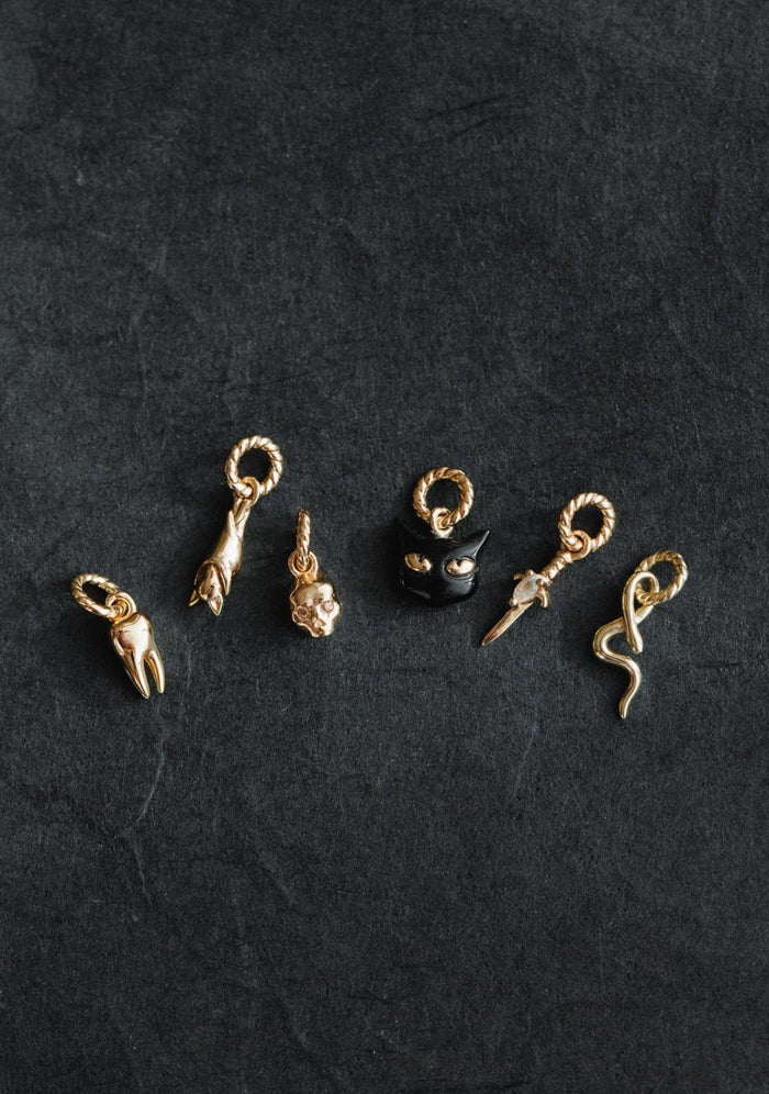 Tooth Charm