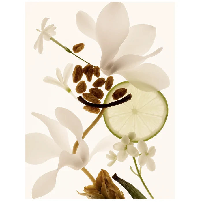 Waldorfy Aroma Oil