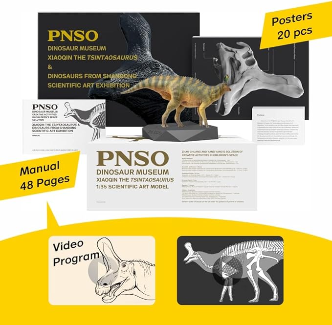 Xiaoqin the Tsintaosaurus, PNSO